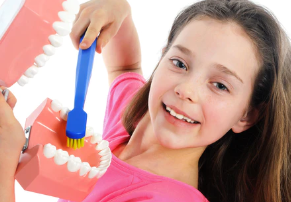 教你全世界最標准的刷牙方法