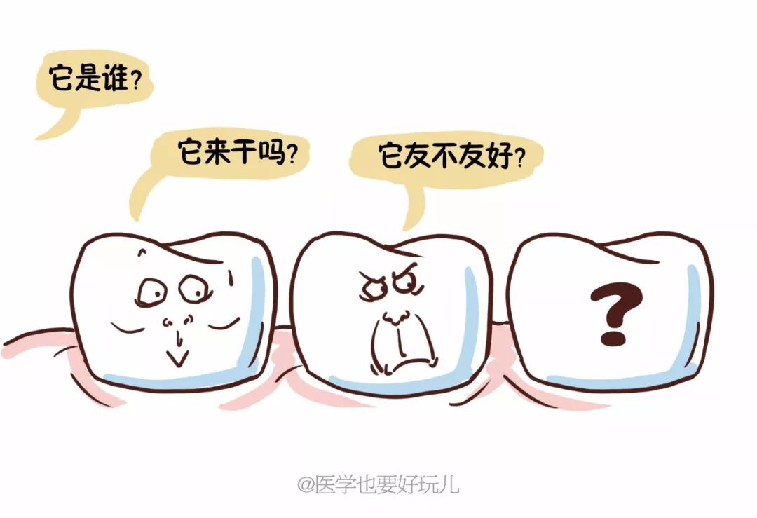 智齿!智齿!仲係智齿!